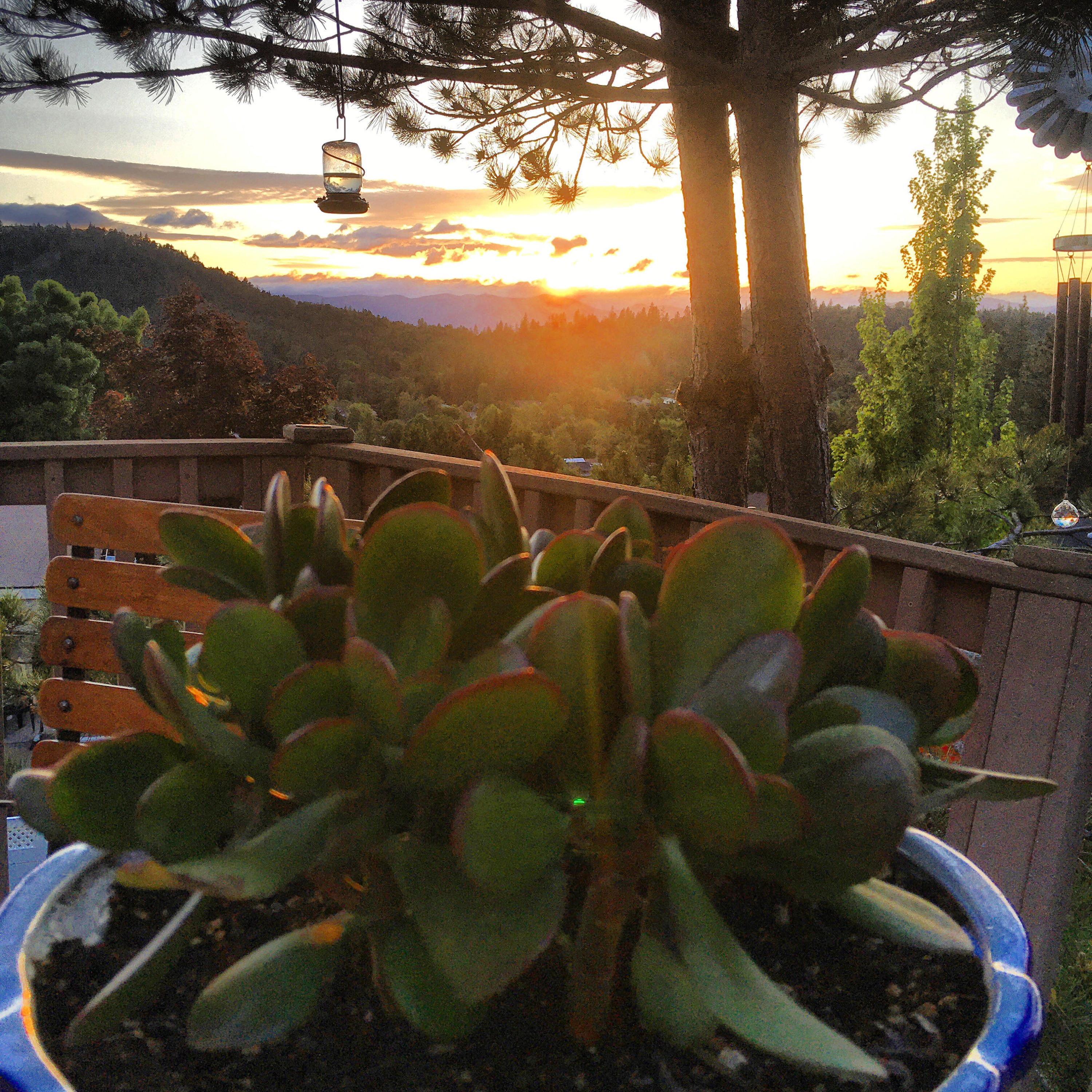 Williams Crossing - Residential