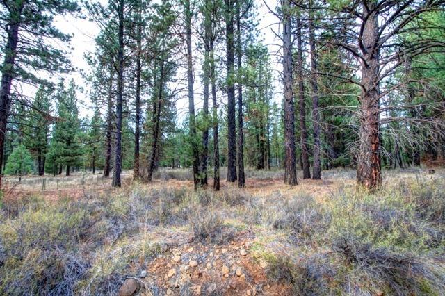 Mountain Lakes Homesites - Land