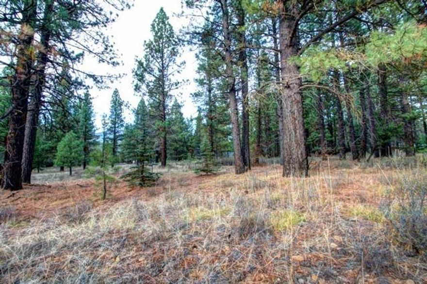Take advantage of these 2 level building lots in the Mountain Lakes Subdivision while the price is still low and affordable! A combined total of 2.08 acres with a 25 GPM well and a 4-bedroom septic system already installed, makes this a large ready to build'' homesite. This beautifully treed property is located just minutes from Lake of the Woods, Rocky Point Resort and Klamath Lake, Running Y Ranch Resort, and 3 other close-by lakes. Lots 7 & 8 are only being sold together.