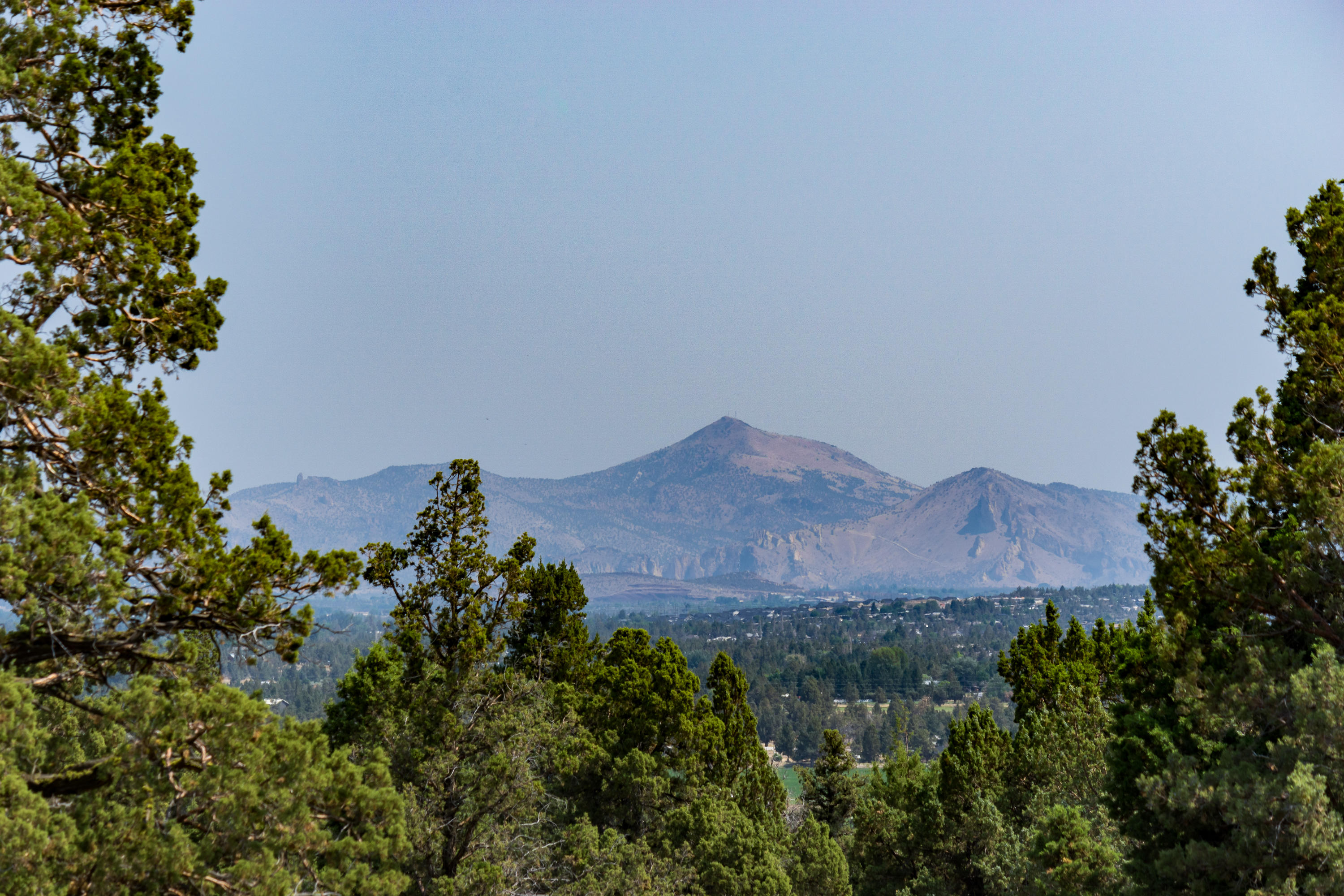 Whispering Pines - Residential