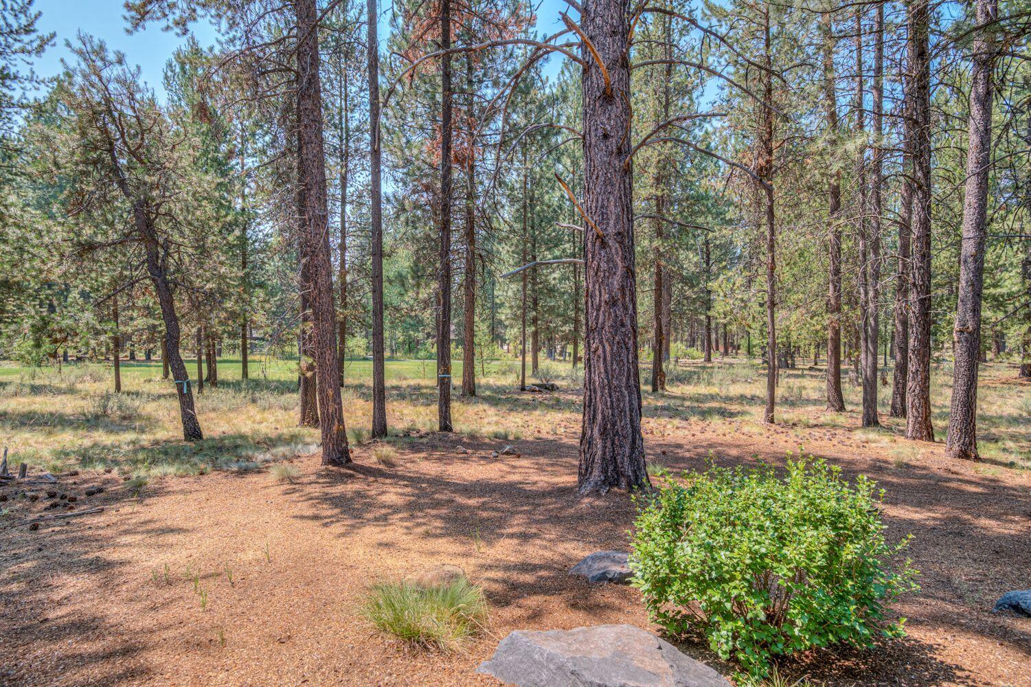 Caldera Springs - Residential