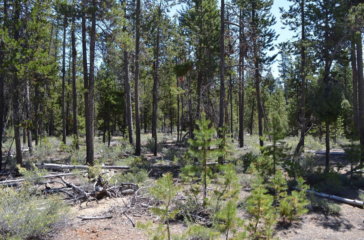 Two Rivers North - Land