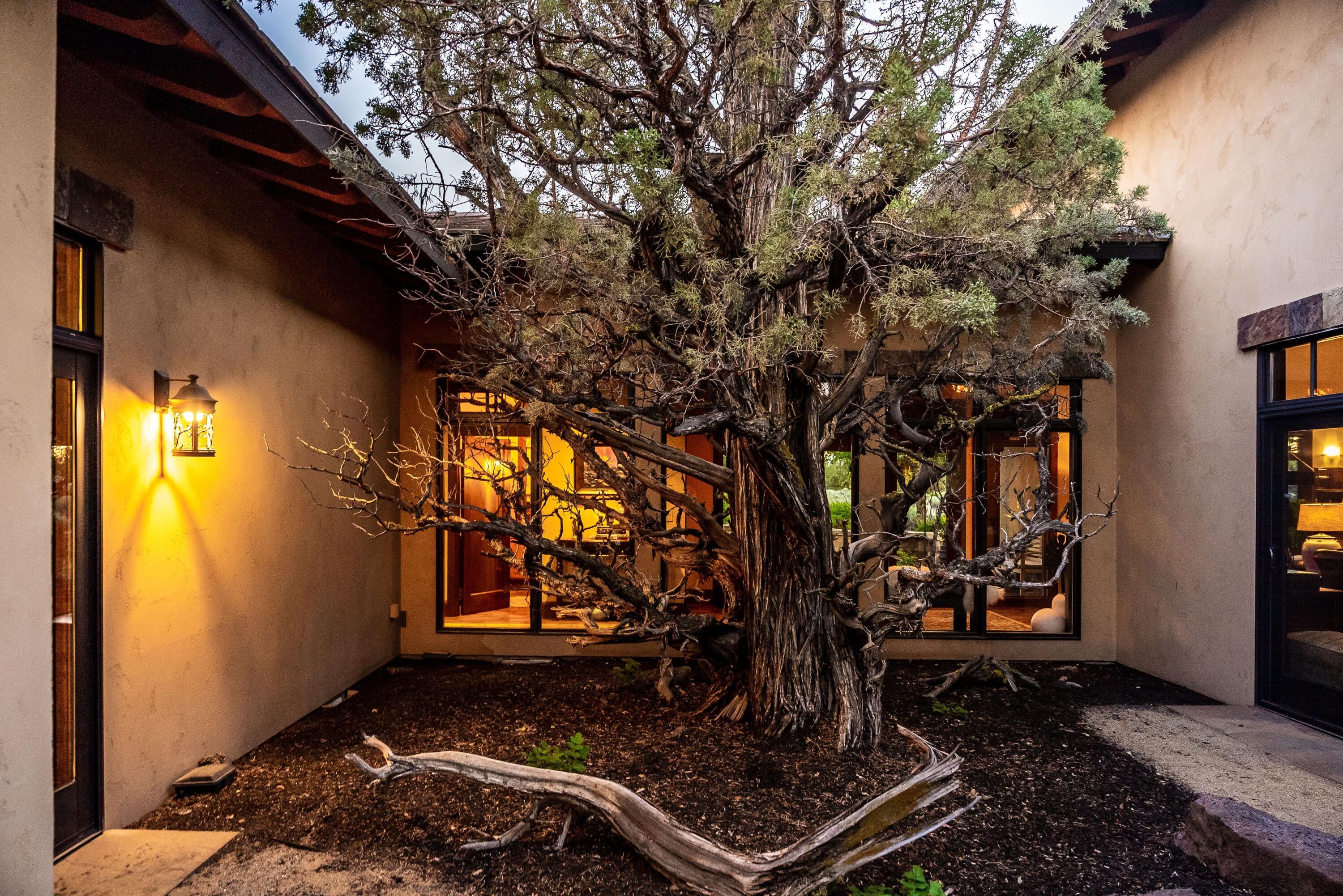 Pronghorn - Residential