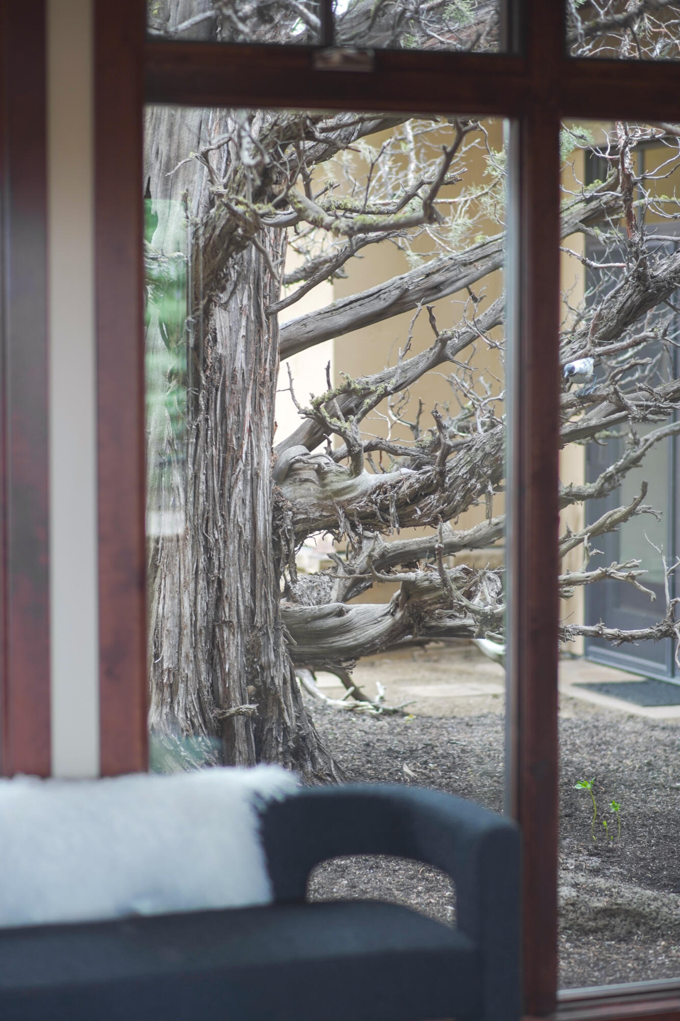 Pronghorn - Residential