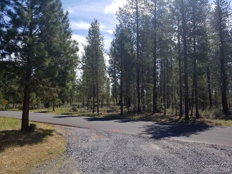 Here is your opportunity to own a parcel in Wagon Trail Ranch. Great location for a vacation home or better yet, make this your year round residence. A special feature of this parcel, it backs up to BLM land. The community offers river access, seasonal swimming pool and clubhouse. Come out today to see this parcel.