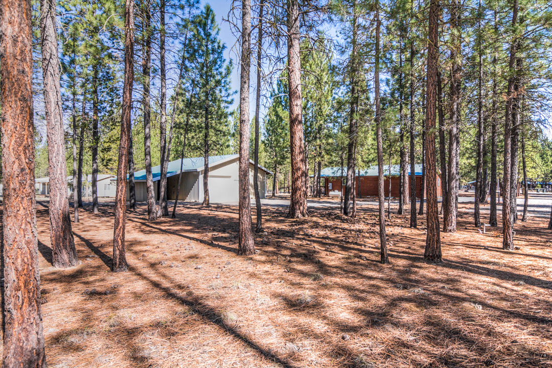 Ponderosa Pines - Residential