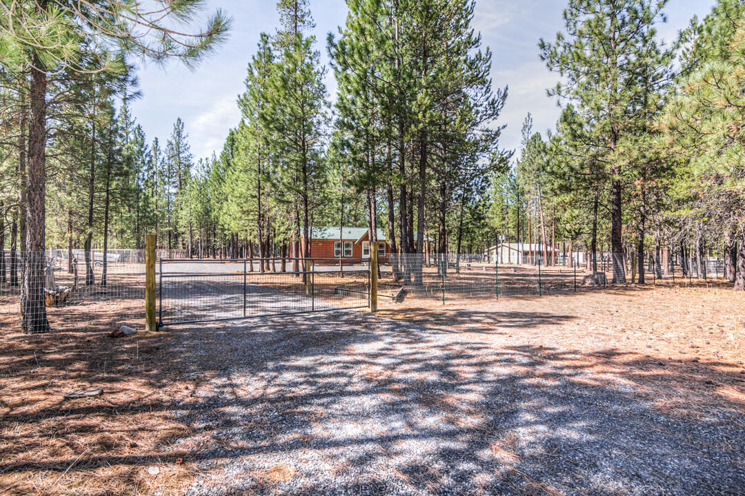 Ponderosa Pines - Residential