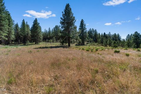 Tiny photo for 29001 NE Duncan Creek RD, Prineville, OR 97754 (MLS # 220224512)