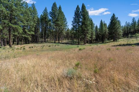 Tiny photo for 29001 NE Duncan Creek RD, Prineville, OR 97754 (MLS # 220224512)