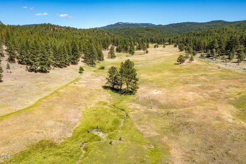 Tiny photo for 29001 NE Duncan Creek RD, Prineville, OR 97754 (MLS # 220224512)