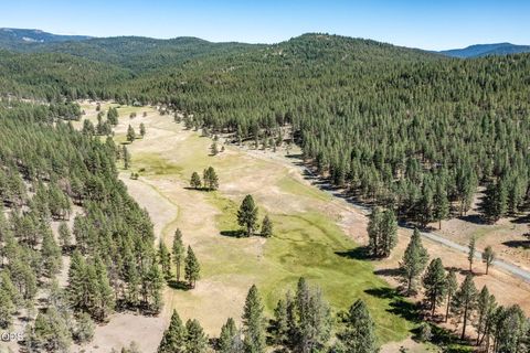 Tiny photo for 29001 NE Duncan Creek RD, Prineville, OR 97754 (MLS # 220224512)