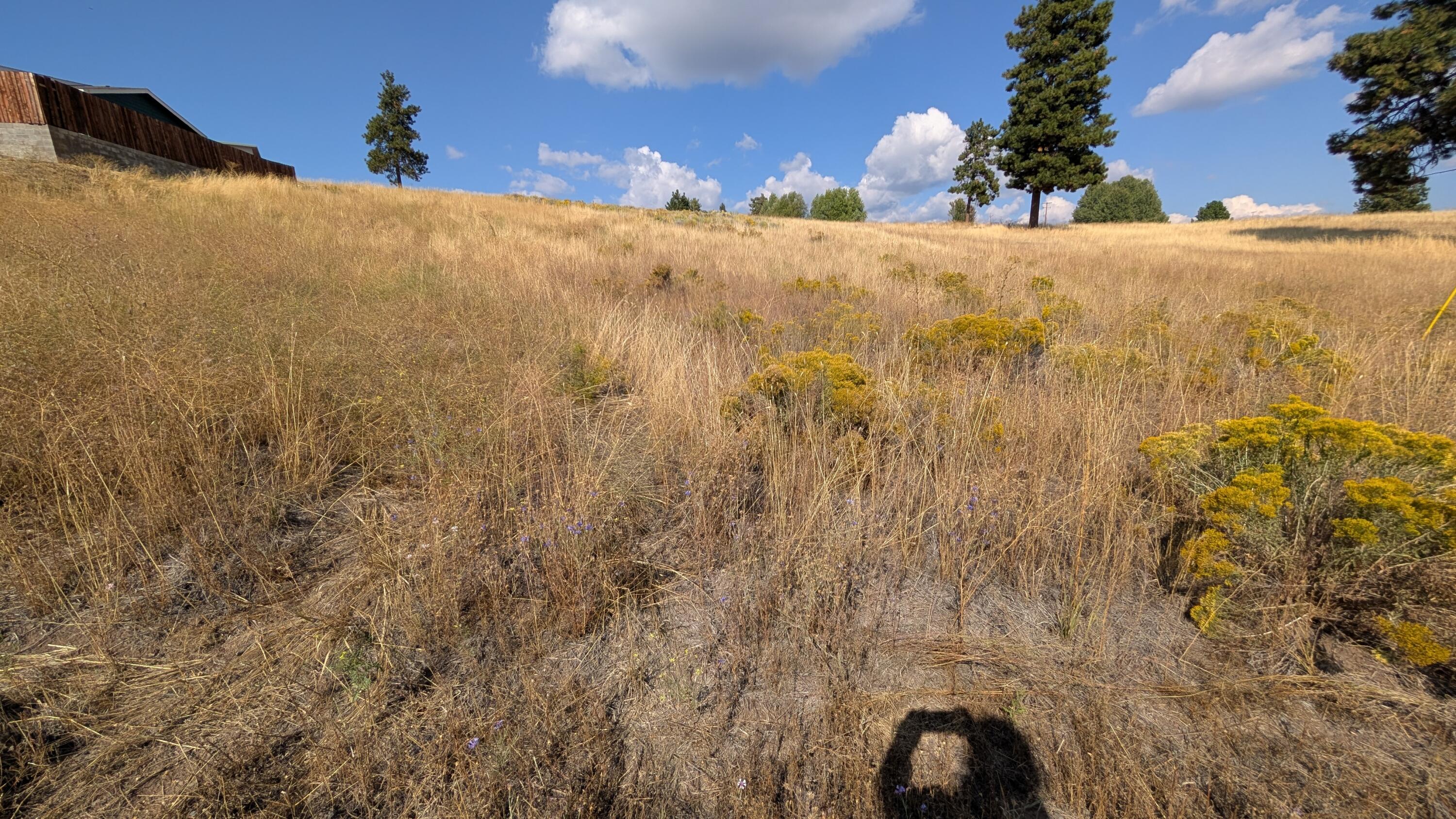 Oregon Shores - Land