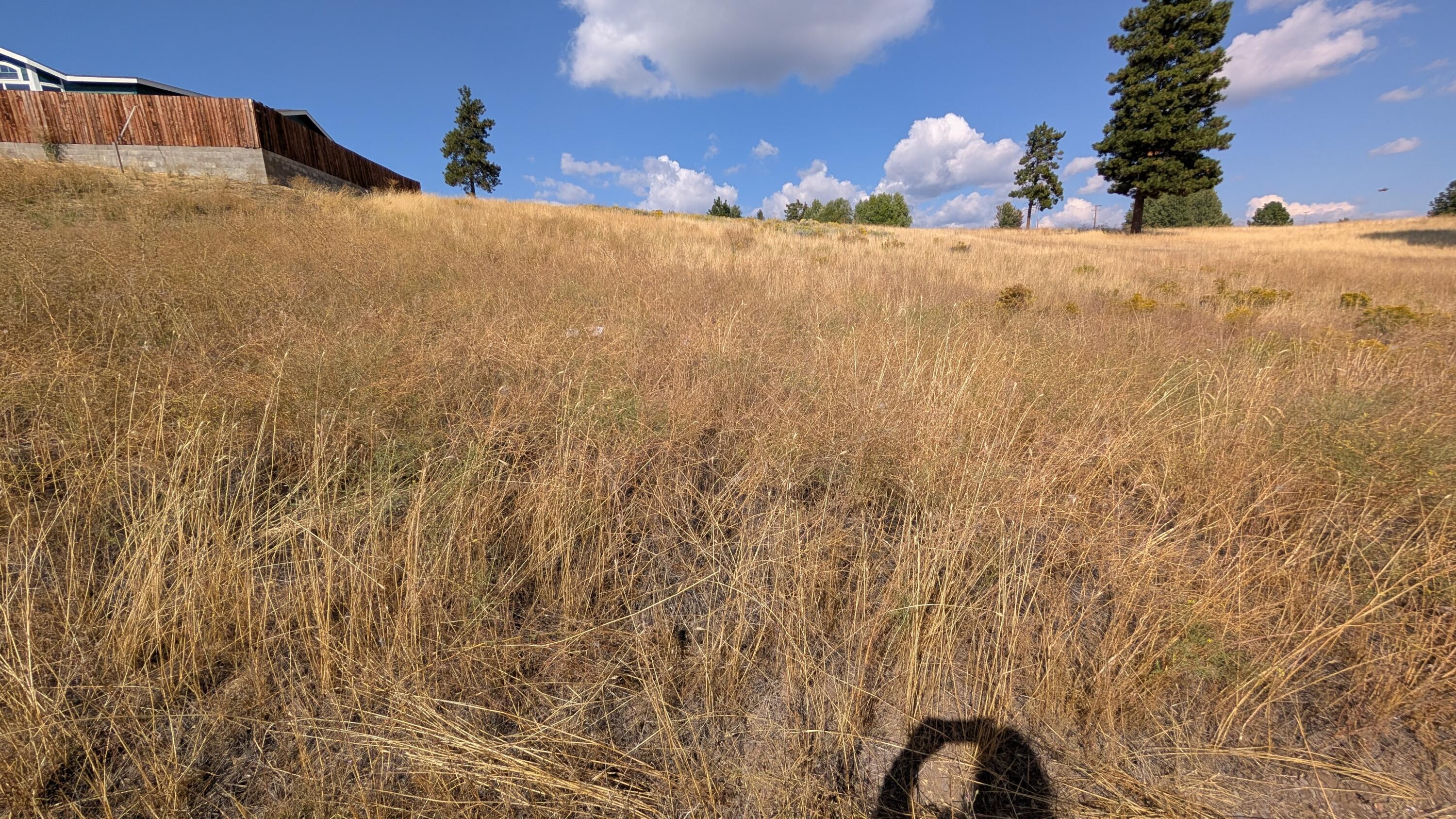 Oregon Shores - Land