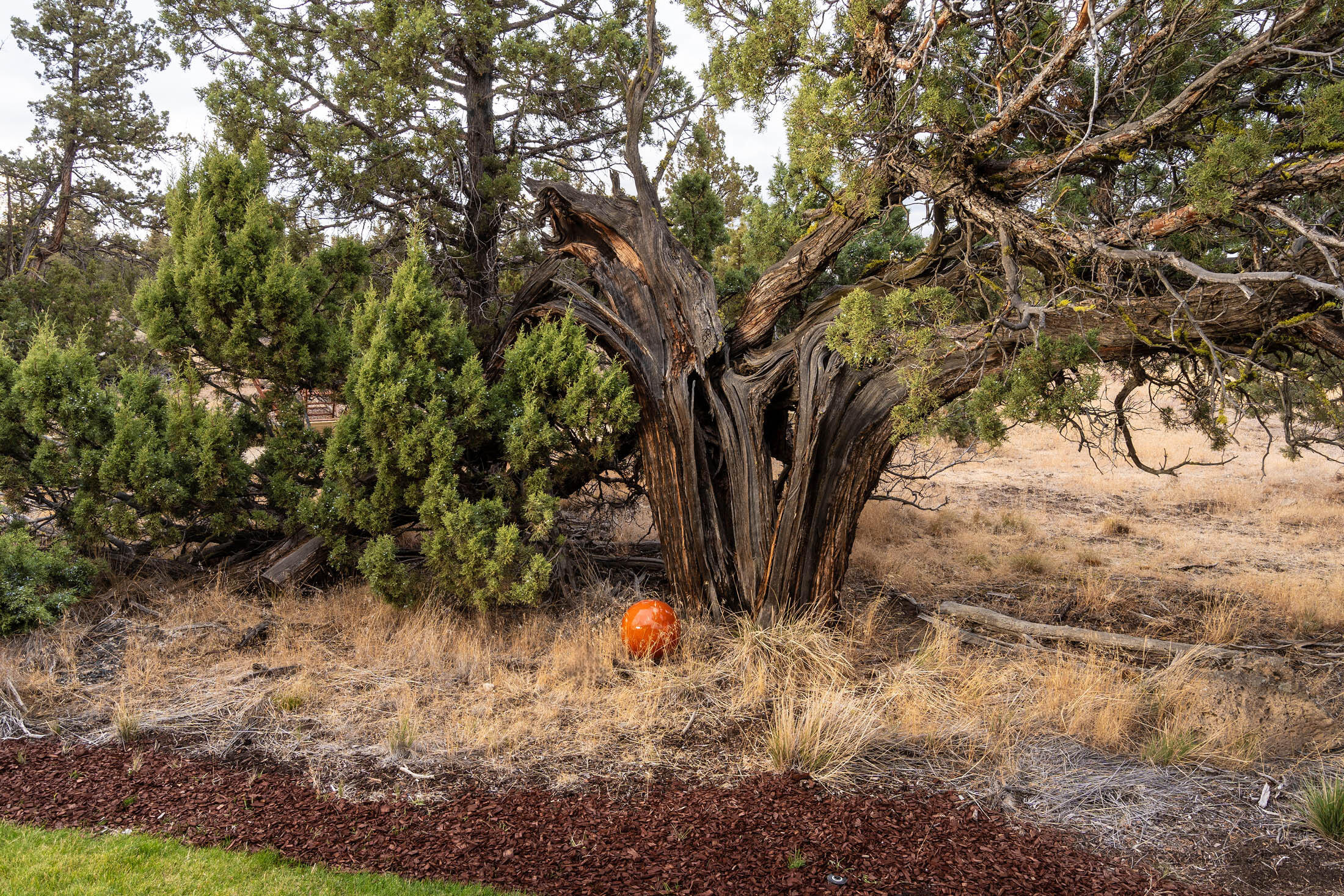 Coppermill - Residential