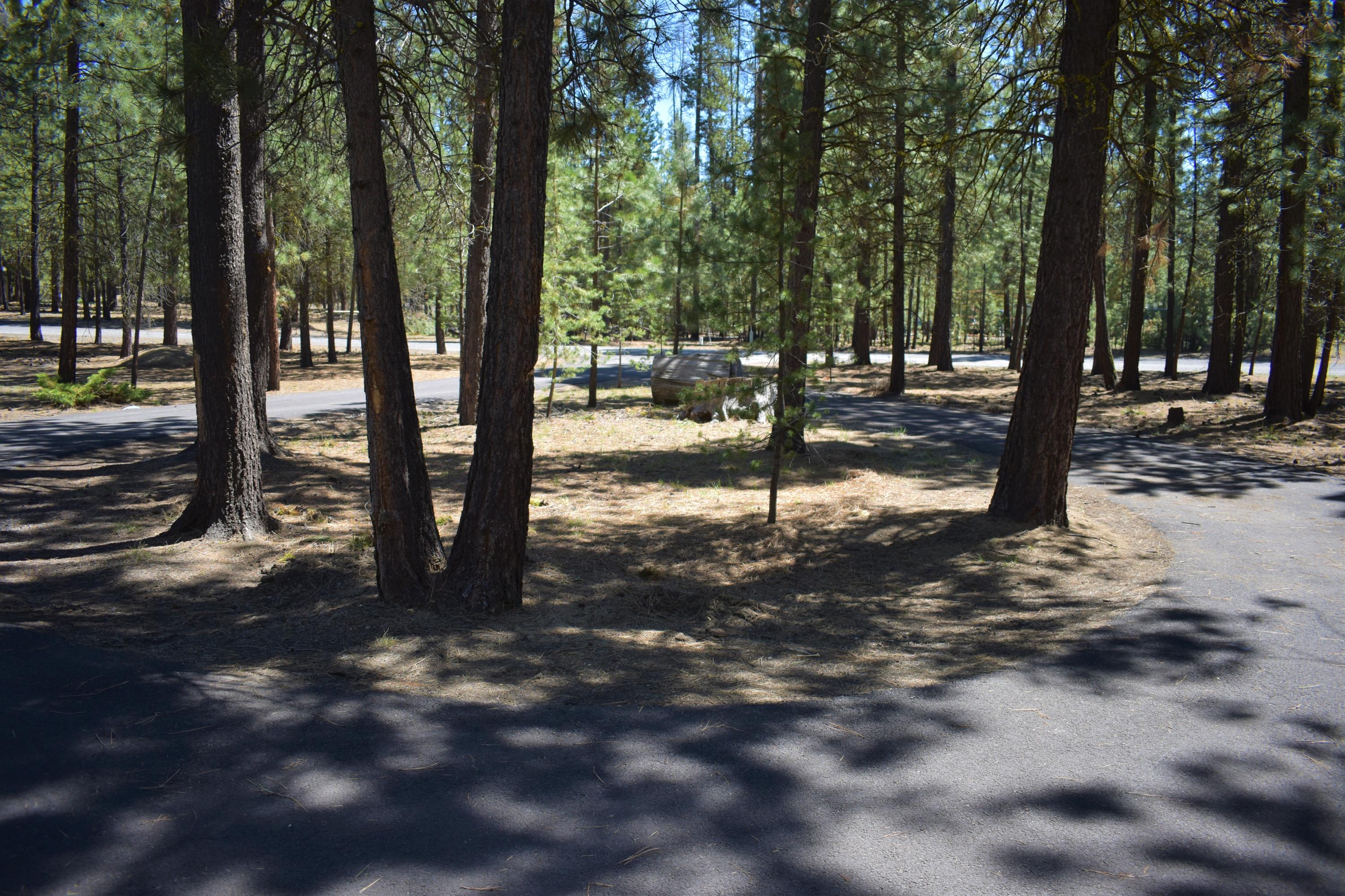 Ponderosa Pines - Residential
