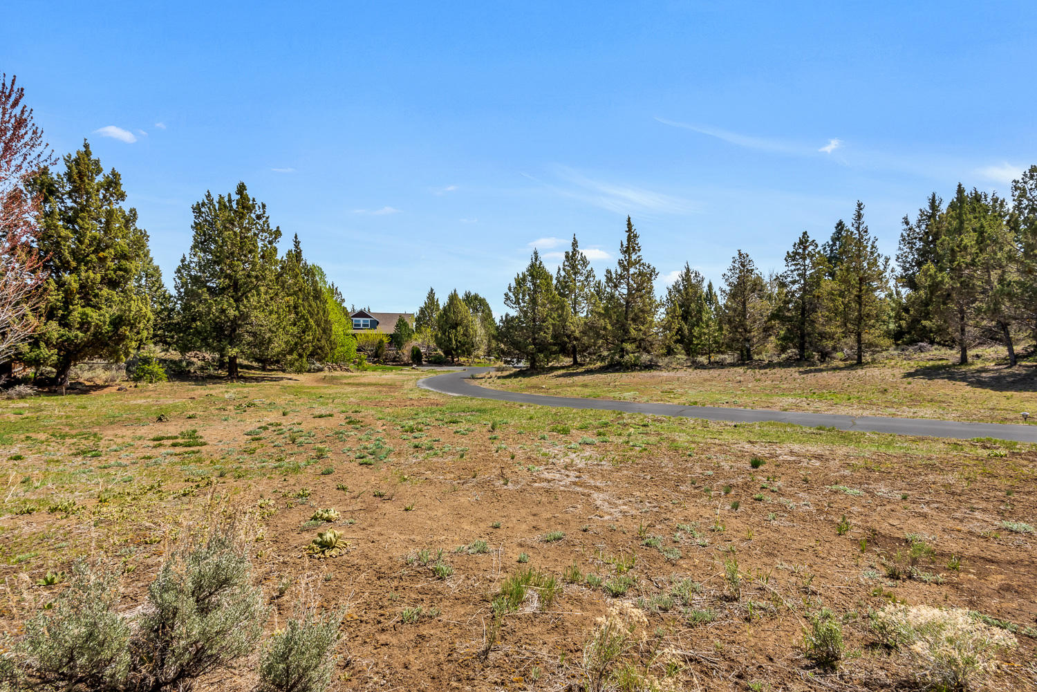 Overtree Ranch - Residential