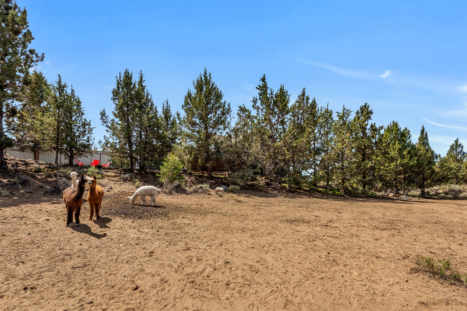 Overtree Ranch - Residential