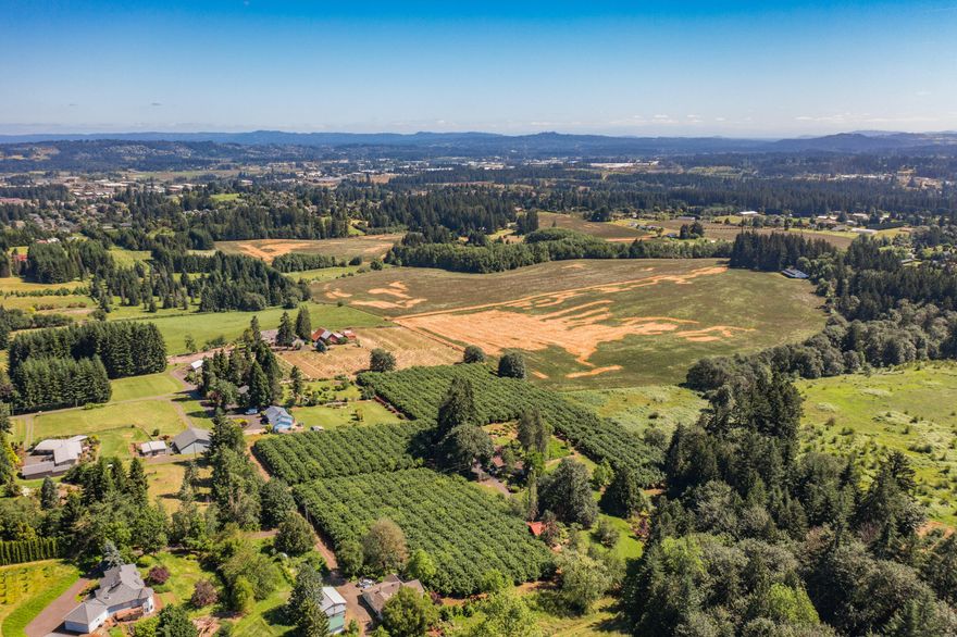 You will love this pastoral paradise which includes stunning views of Mt. Adams, Mt. Hood & St. Helens. This spacious 5,063 sqft 4 bd/3 bath home and 3+ car garage is ready for your personal touch. Fenced & cross fenced productive pasture along w/ the potential for over 2 miles of perimeter riding trails. The 120' x 84' hay storage barn is ready to be converted to a riding arena or huge shop. This location has excellent vineyard potential w/ a southeast aspect, water-rights, good air drainage & great soils.
