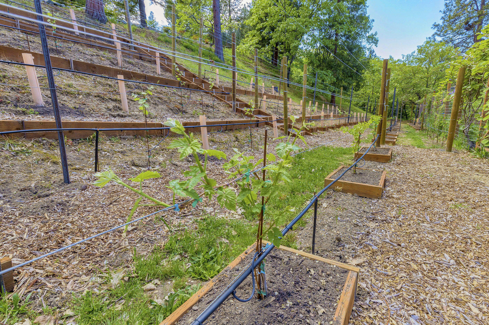 Viewpointe Terrace Subdivision - Residential