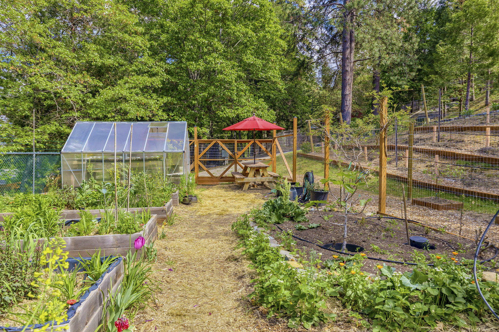 Viewpointe Terrace Subdivision - Residential