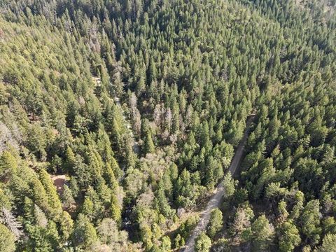 Tiny photo for 1584 Yale Creek Road, Jacksonville, OR 97530 (MLS # 220212269)