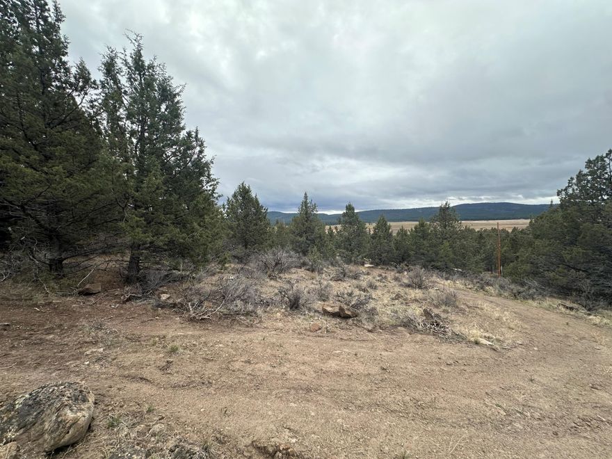 1.69 acres off of Kootenai St.  Access road has been partially cut across property.  Power poles are on the street at the edge of the property.  Slight slope offers fun views of the area.  Priced to move, come walk this property and see if its what you have been waiting for.
