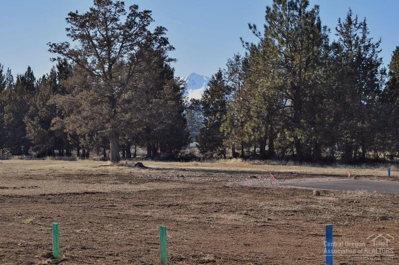 Sun Ranch Business - Commercial Sale