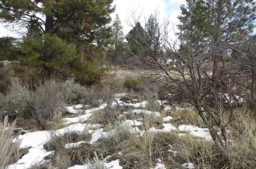 Block 9 lot 18 on Shoreview Drive in Oregon Shores I subdivision.  .24 of an acre lot at yesteryear's great price of $6500.00.  Owners in OSI have use of the OSI lake front community lot for fishing, launching a boat or just enjoying the water.