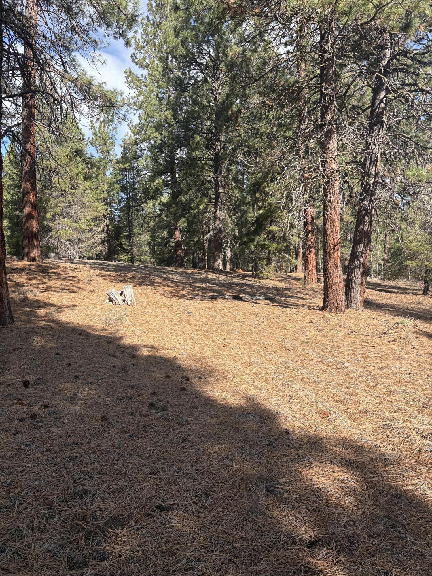 0 Pine Ridge Loop Lot 5