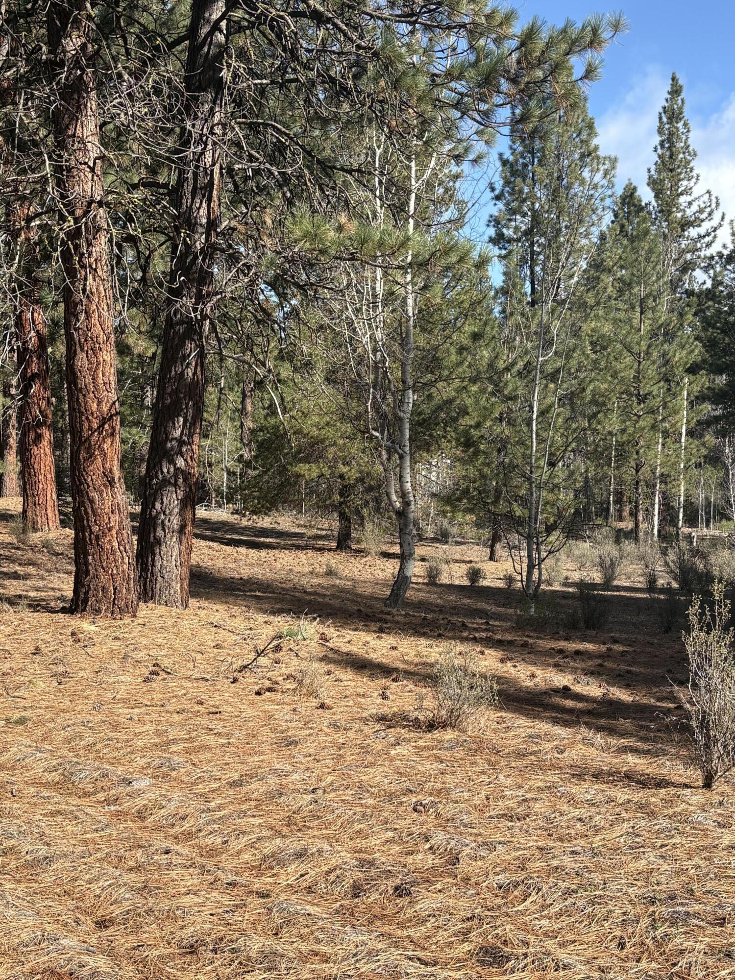 0 Pine Ridge Loop Lot 5