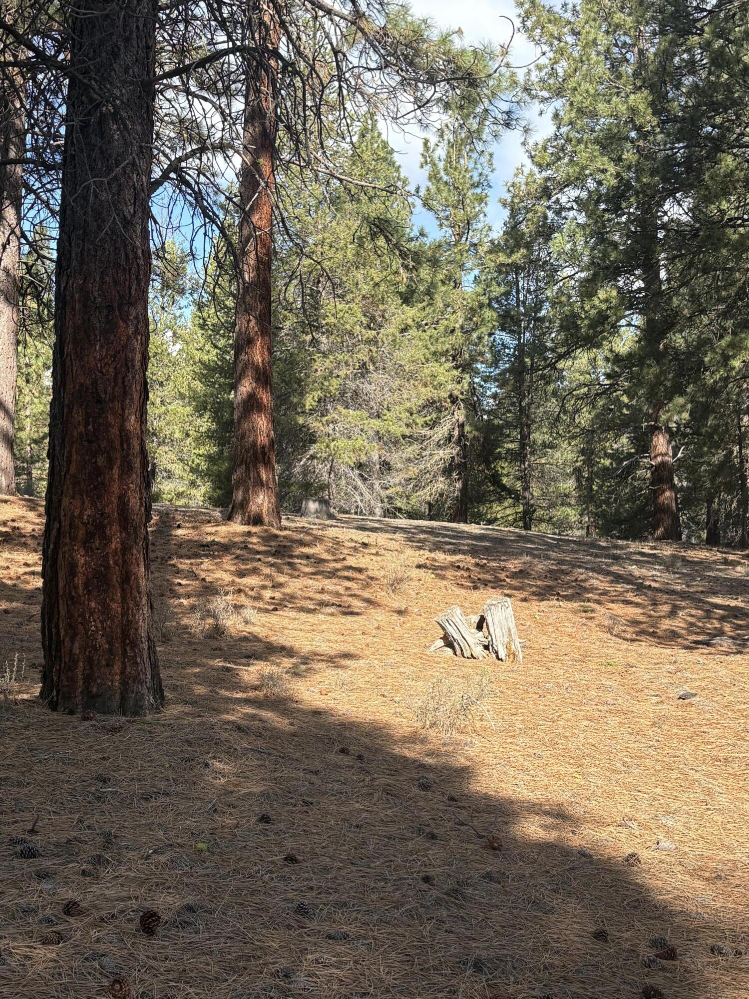 0 Pine Ridge Loop Lot 5