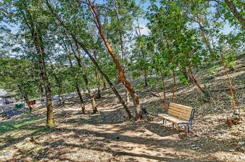 Tiny photo for 1300 Andrews Place, Jacksonville, OR 97530 (MLS # 220223402)