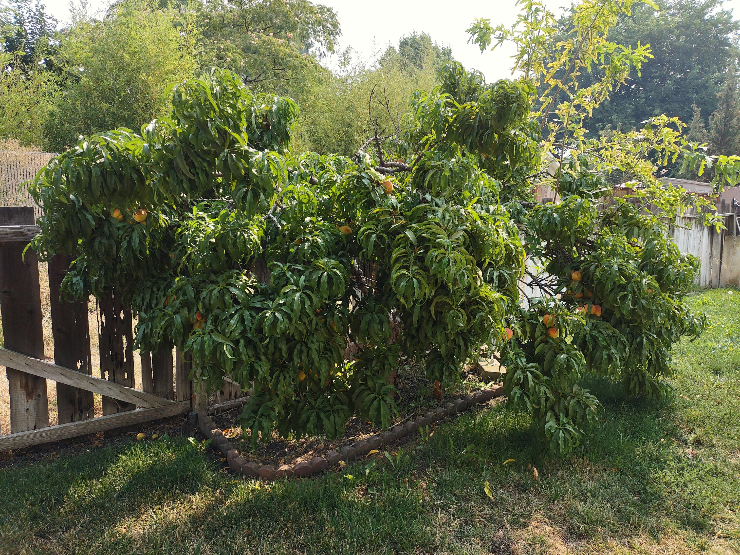 Candlewood Subdivision Phases 1, 2And 6 - Residential