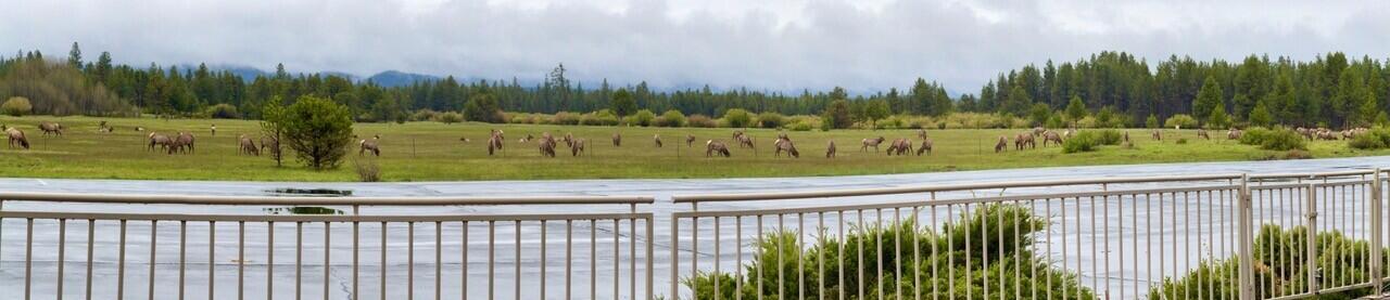 Skypark - Residential