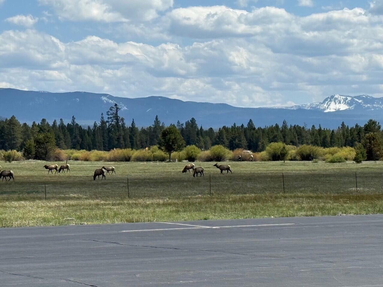 Skypark - Residential