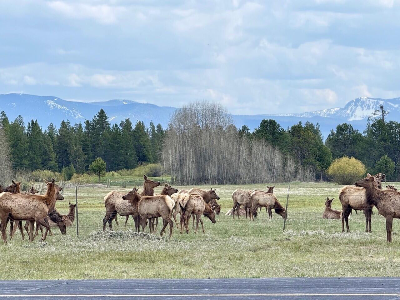 Skypark - Residential