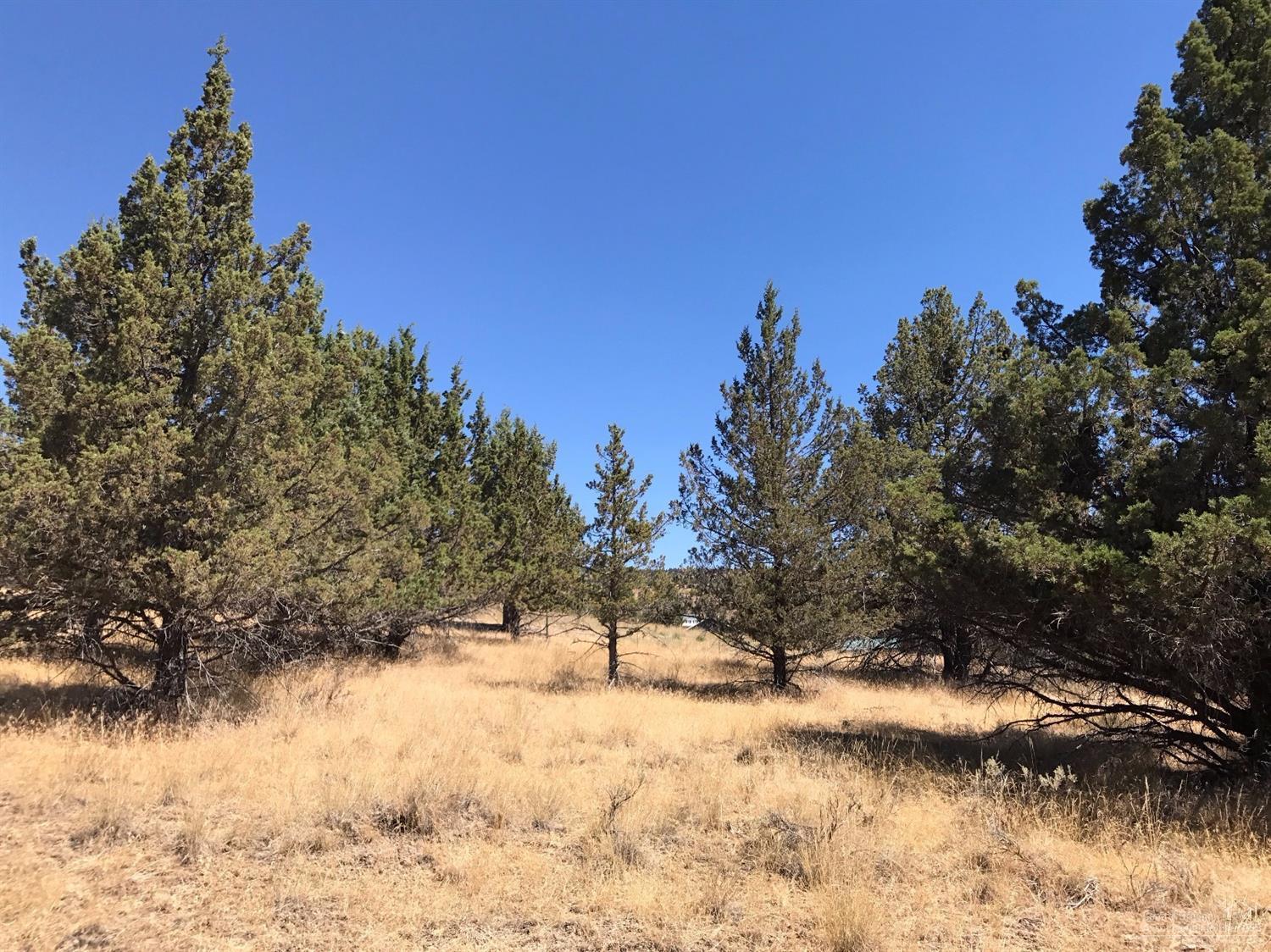 Golden Horseshoe - Land