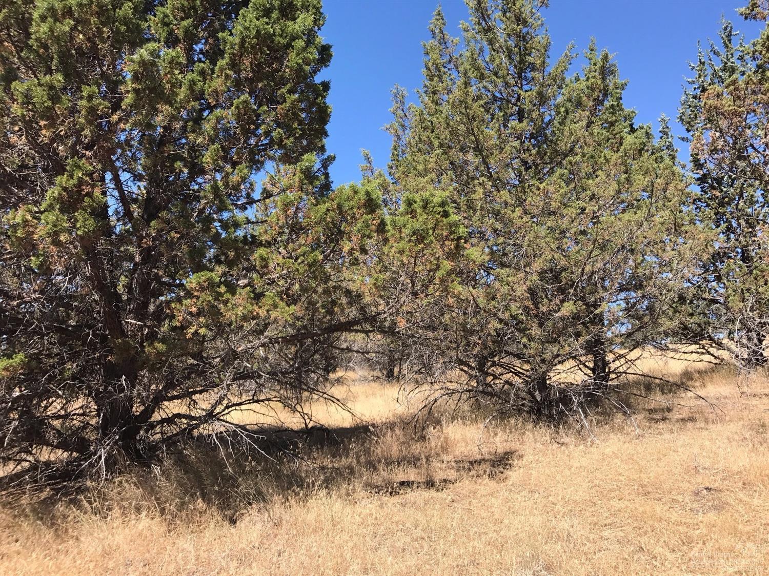 Golden Horseshoe - Land