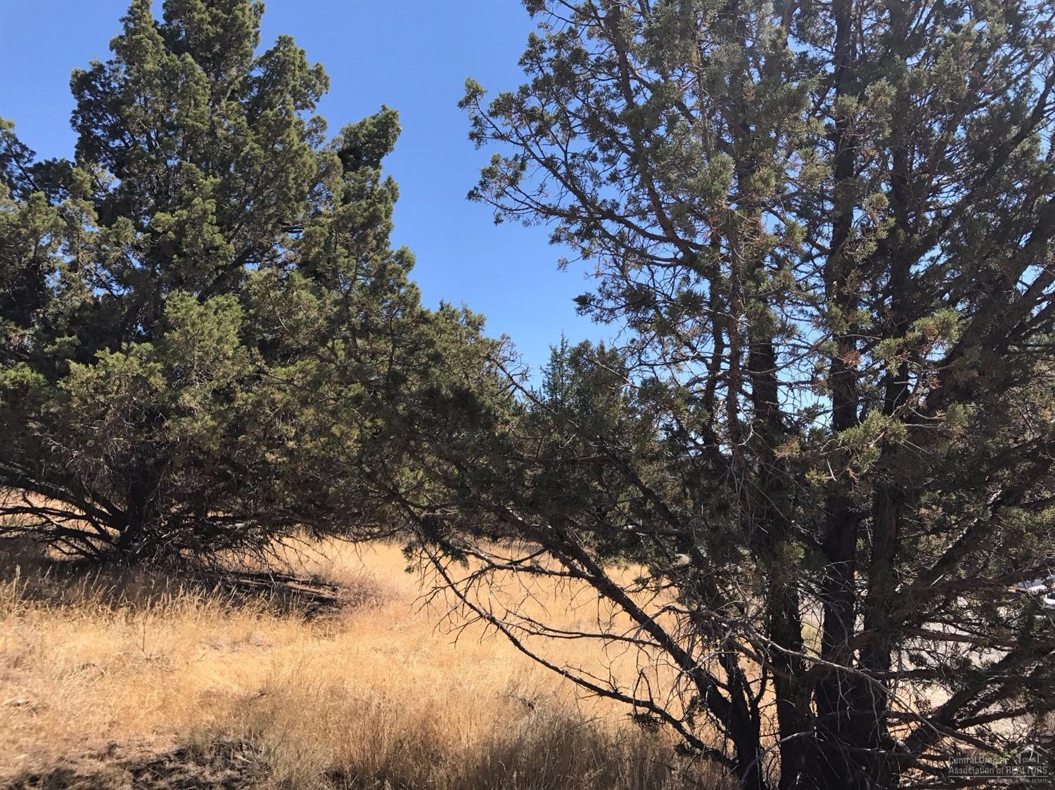 Golden Horseshoe - Land