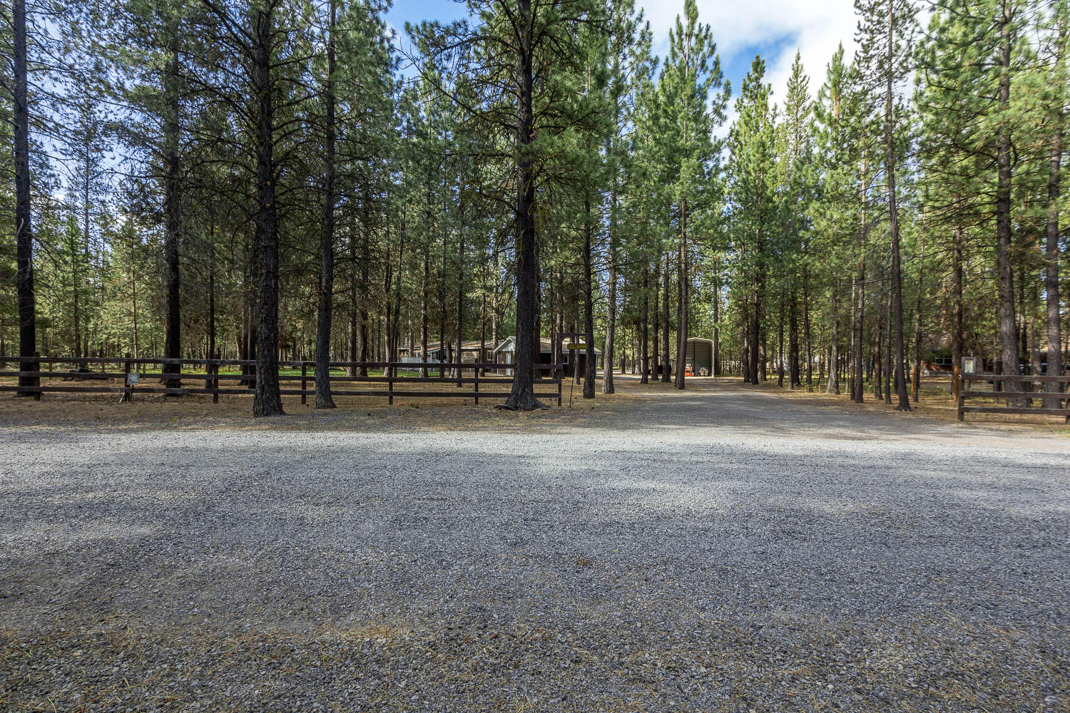 Ponderosa Pines - Residential