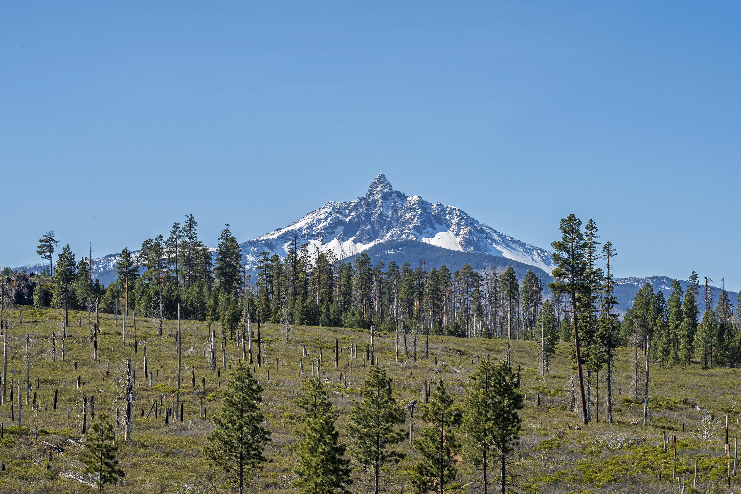 70390 McAllister Road Parcel 1