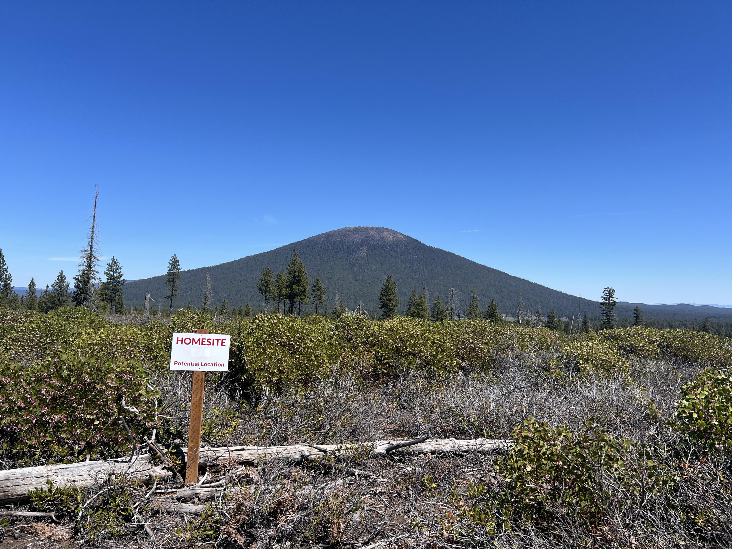 70390 McAllister Road Parcel 1