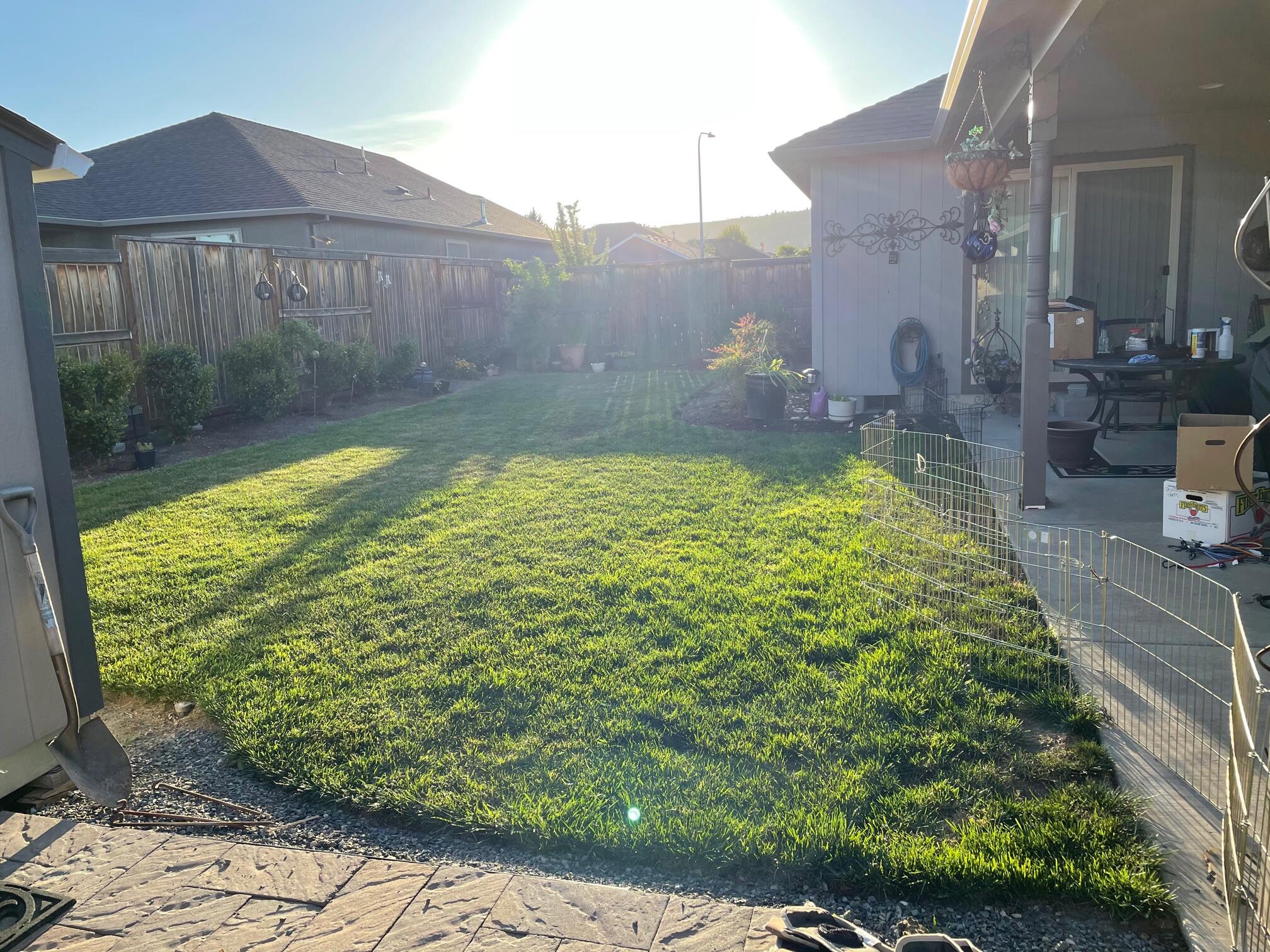 Pearwood Subdivision Phase I - Residential