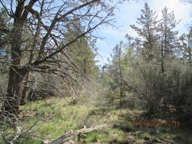 Klamath Falls Forest Estates Hwy 66 Unit Plat 4 - Land