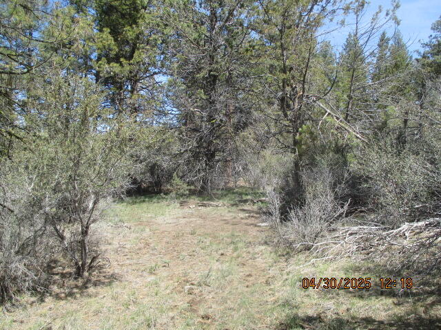 Klamath Falls Forest Estates Hwy 66 Unit Plat 4 - Land