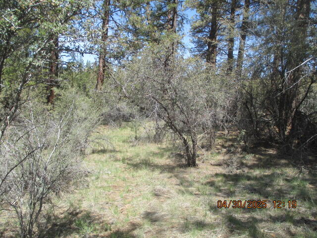 Klamath Falls Forest Estates Hwy 66 Unit Plat 4 - Land