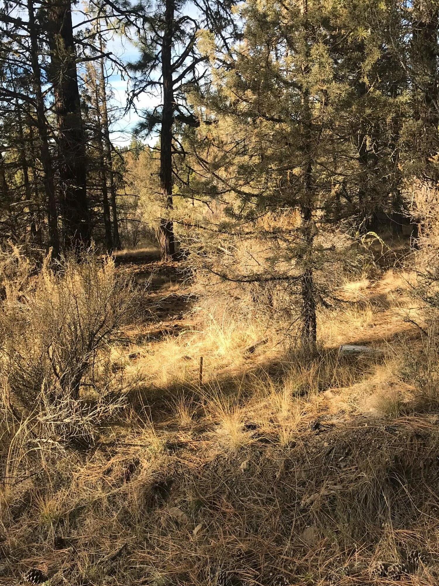 Klamath Falls Forest Estates Hwy 66 Unit Plat 4 - Land