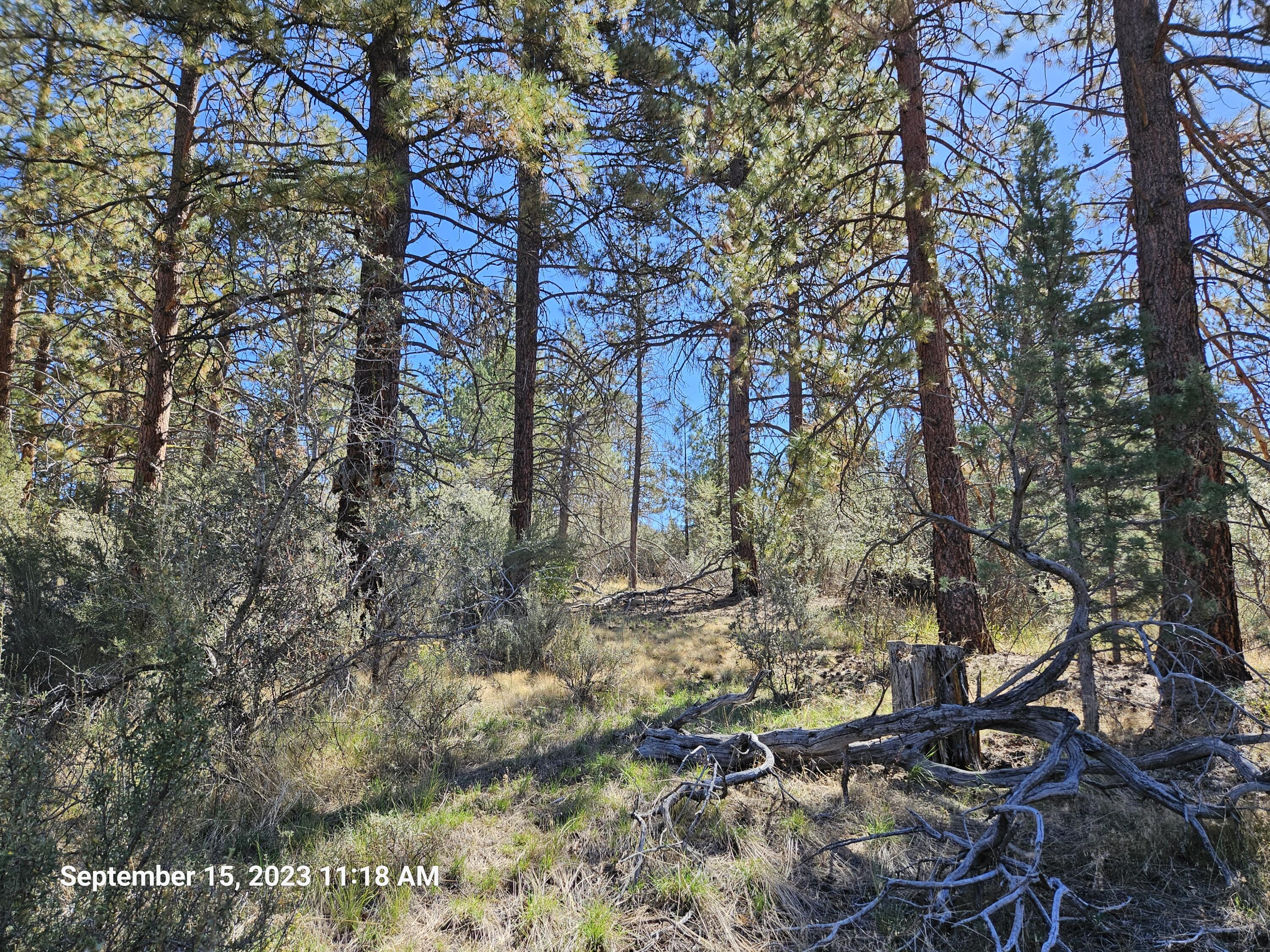 Klamath Falls Forest Estates Hwy 66 Unit Plat 4 - Land