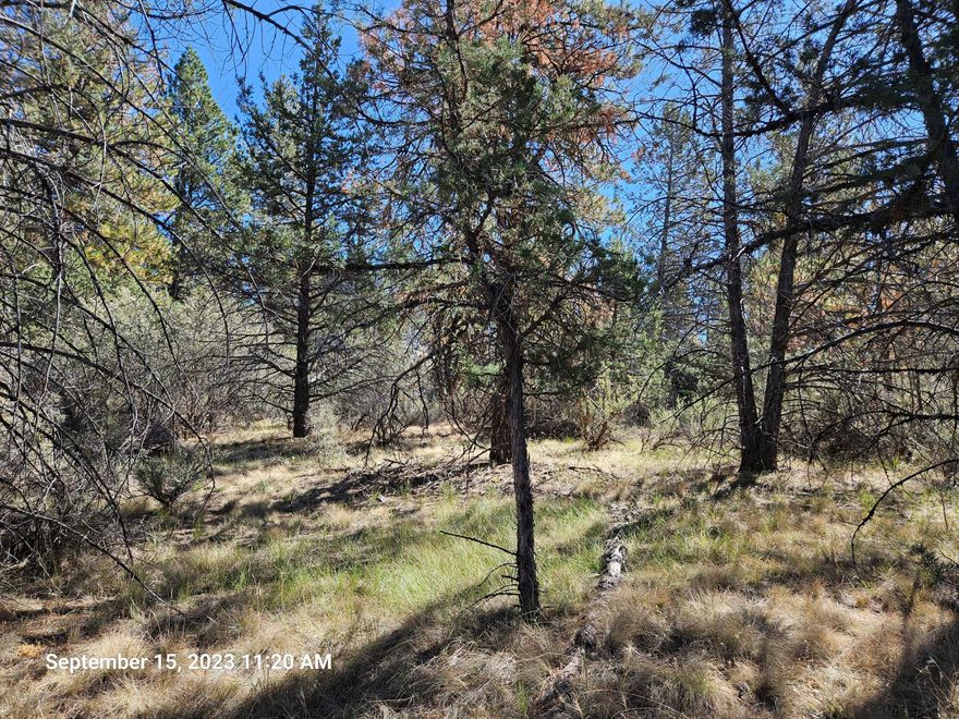 Towering pines and little meadows is what you'll find on this two acre parcel tucked away in Klamath Falls Forest Estates. The local wildlife is practically your neighbor.
Whether you're a birdwatcher or a deer-spotter, nature's finest are just a step away. This is the perfect canvas for your mountain retreat. Power and phone lines run right to the edge of the property. With $10,000 down, OWC for two years, terms to be negotiated.