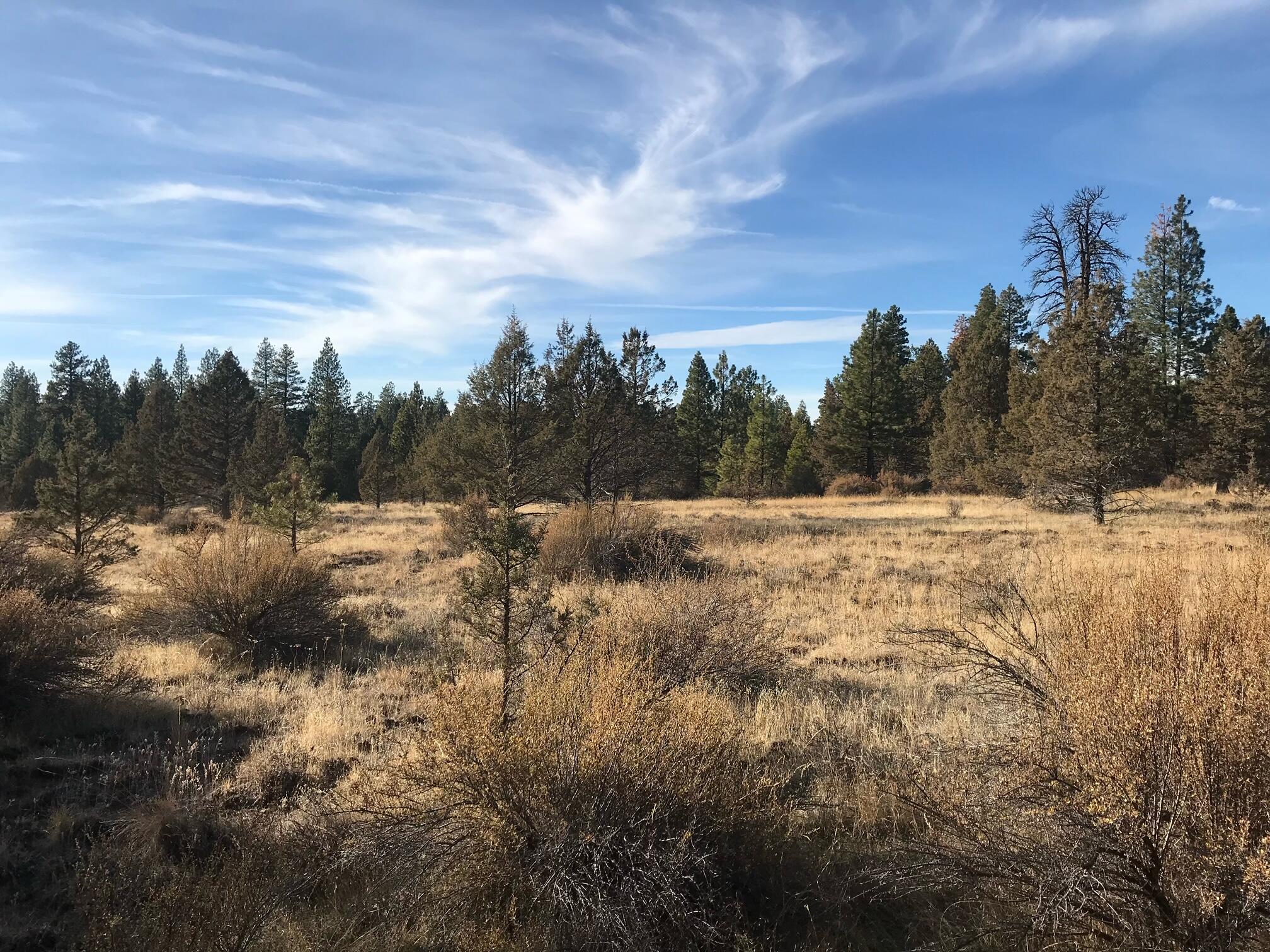 Klamath Falls Forest Estates Hwy 66 Unit Plat 4 - Land